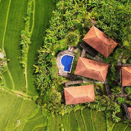 Barong Villas Sidemen (Bali) Exterior foto