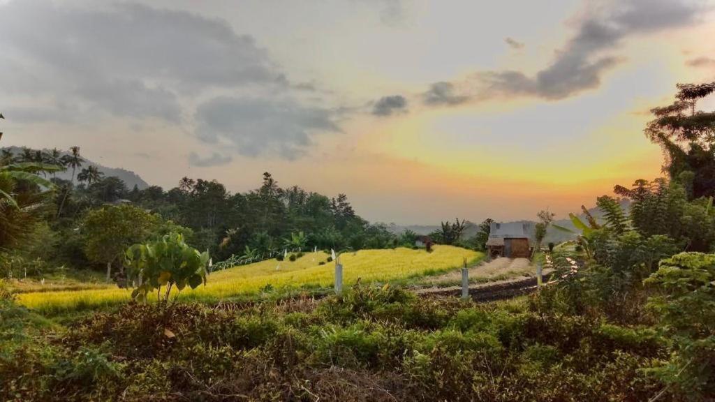 Barong Villas Sidemen (Bali) Exterior foto